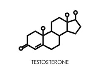 The Impact of Stress on Testosterone and Mood
